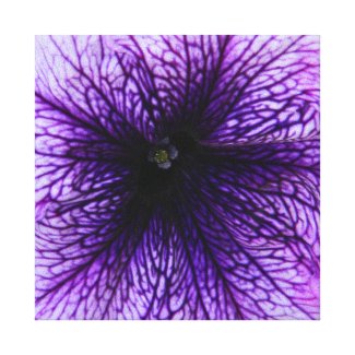 Purple flower macro photography canvas print