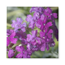 Purple Flower magnets by toverall Purple Flower magnets
