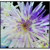 Purple Flower Magnet photo sculptures
