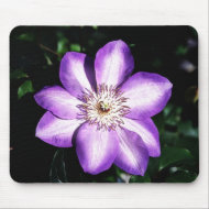 Purple Flower mousepad