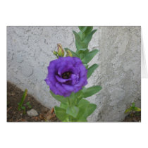 Purple Flower Note Card cards