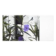 Purple flower on Fence Photo Card Template