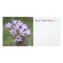 Purple Flower Photo Card
