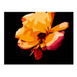 purple flower post cards