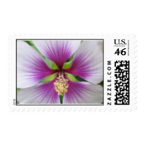 purple flower postage by indoorgreenhouse purple flower postage