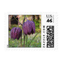 Purple Flower postage