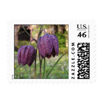Purple Flower postage