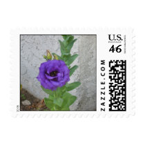 Purple Flower Postage