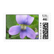 Purple Flower Postage stamps