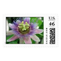 purple flower postage