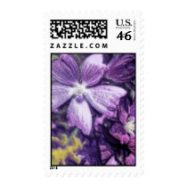 Purple Flower Postage Stamp by sruhs Purple Flower Postage Stamp