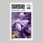 Purple Flower Postage Stamp