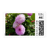 purple flower postal stamps