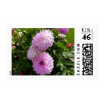 purple flower postal stamps