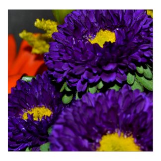 Purple flower print