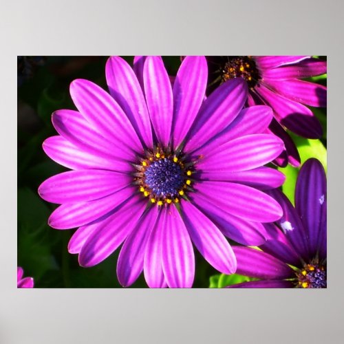 Purple Flower print