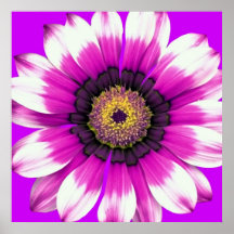 Purple Flower Posters