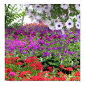 Purple Flower Profusion Print by CaroleArt Purple Flower Profusion Print