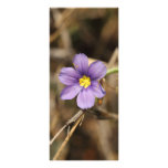Purple Flower Rack Cards