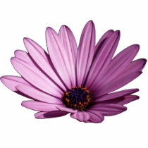 Purple flower sculpture photo cut out