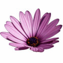 Purple flower sculpture photo sculptures
