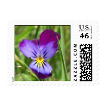 Purple Flower Stamps