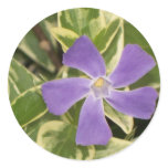 Purple Flower Sticker