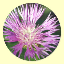 Purple Flower stickers