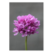 purple flower with ant business cards