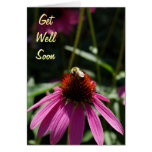 Purple Flower with Bee Get Well Soon Card