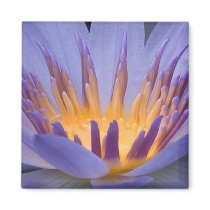Purple Flower with Gold Center - Magnet