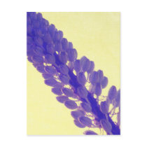purple-flower-yellow postcards