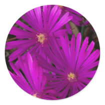 Purple Flowering Cactus stickers