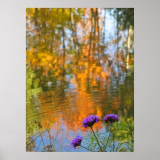 Purple Flowers and Autumn Foliage Reflections