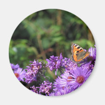 Purple flowers and butterfly magnet