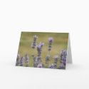Purple Flowers Blank Card by gkrew1 Purple Flowers Blank Card