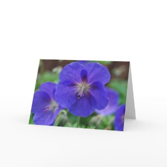 Purple Flowers card