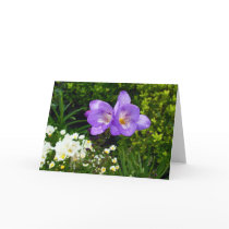 Purple Flowers cards