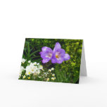 Purple Flowers cards