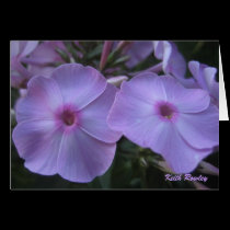 Purple Flowers Card by Rajee1 Purple Flowers Card