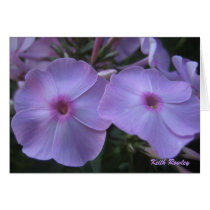 Purple Flowers Card