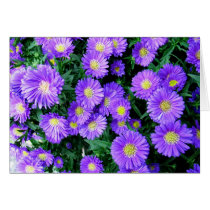 Purple Flowers cards