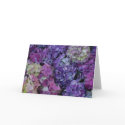 Purple Flowers cards