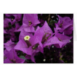 Purple flowers | Card