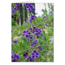 Purple Flowers Card cards
