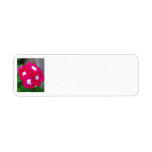 Purple Flowers Custom Return Address Label