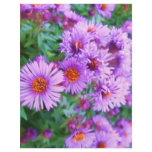 Purple Flowers Flyer