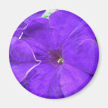 Purple Flowers Fridge Magnet