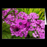 Purple Flowers from San Francisco Card