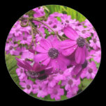 Purple Flowers from San Francisco Sticker